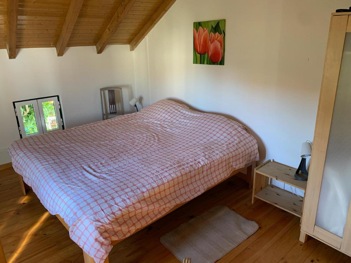 Вілла Casa Agostinho - With Private Pool Near Coimbra Graca Екстер'єр фото